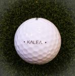 50 Assorted Taylormade Golf Balls AAAA Condition