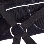 Golf Stand Bag with 6-Way Club Divider