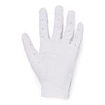Under Armour Youth IsoChill Golf Gloves, Right Hand