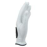 Kirkland Signature Premium Cabretta Leather Golf Gloves