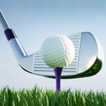 Crestgolf Deluxe 2 1/8" Wood Golf Tees - 100 Pack