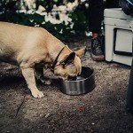 YETI Boomer 8 Stainless Steel Dog Bowl 64 oz