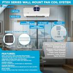 Daikin 24,000 BTU Dual Zone Mini Split System
