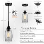 Viinew Black Seeded Glass Mini Pendant Shade