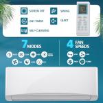Demuller 12000 BTU Mini Split AC & Heater