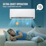 Demuller 12000 BTU Mini Split AC & Heater