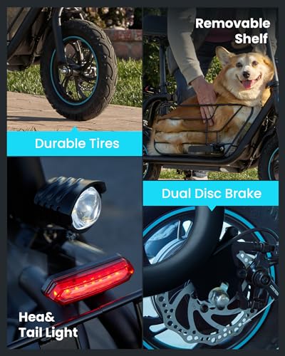 Powerful Electric Scooter with Seat and Storage