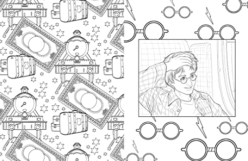 Official Harry Potter House Pride Coloring Book Set