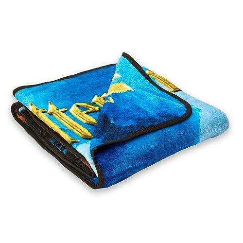 Harry Potter Raschel Throw Blanket: 46" x 60