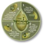 Sea Salted Sprouted Pumpkin Seeds - 22oz Bag