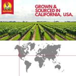 Sun-Maid Dried Mixed Berries - 15 oz Bag