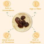 Organic Dried Apricots - 30 Snack Packs