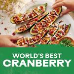 Ocean Spray Craisins, 50% Less Sugar, 5 Oz