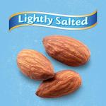 Blue Diamond Low Sodium Almonds, 100 Calorie Packs