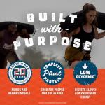 CLIF BUILDERS Protein Bars - Chocolate - 12 Pack