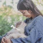 Adams Plus Yard Spray - 907.2 Grams