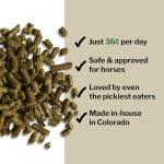 MultiFly Feed-Thru Fly Control Pellets for Horses - 5 lb Bucket