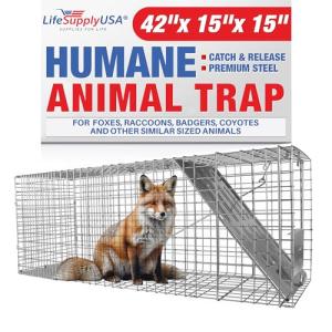 Large Humane Animal Trap for Foxes, Raccoons, Coyotes