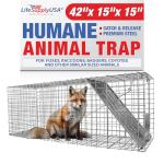 Large Humane Animal Trap for Foxes, Raccoons, Coyotes