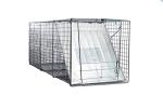 Large Humane Animal Trap for Foxes, Raccoons, Coyotes