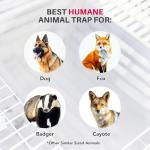Large Humane Animal Trap for Foxes, Raccoons, Coyotes
