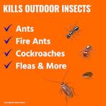 TERRO Outdoor Ant and Insect Killer - 3lb