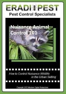 Pest Animal Control Essentials Guide