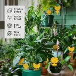 48 Pack Multi-Sized Sticky Traps for Indoor Plants