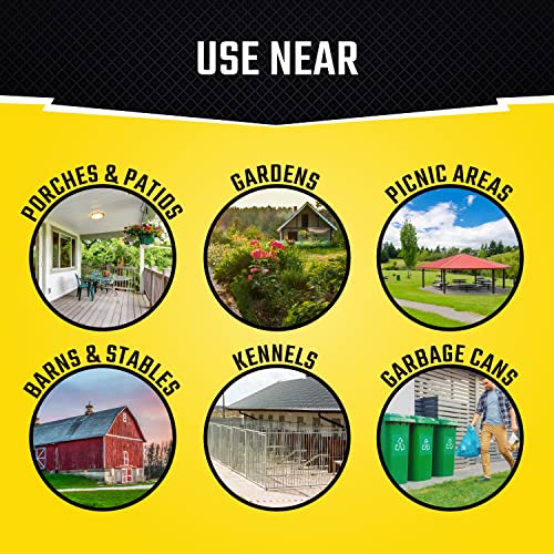 Black Flag Fly Stick Trap, Pack of 6