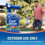 Cutter Backyard Bug Control Spray Concentrate, 32 oz