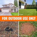TERRO Outdoor Ant and Insect Killer - 3lb