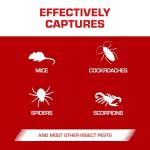 Tomcat Mouse Glue Traps with Eugenol, 6 Pack