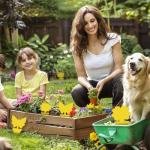 48 Pack Multi-Sized Sticky Traps for Indoor Plants