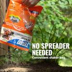 TERRO Outdoor Ant and Insect Killer - 3lb