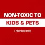 Tomcat Mouse Glue Traps with Eugenol, 6 Pack