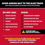 Catchmaster Max-Catch Mouse & Bug Glue Traps 36pk