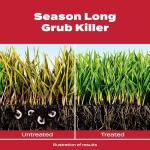 Scotts GrubEx1 Season-Long Grub Killer 2-Pack