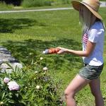 Coyote Urine 16 oz for Garden Protection