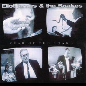 Pest Control Damage Prevention Solutions