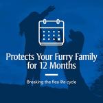 PetArmor Carpet Powder for Fleas and Ticks, 16 oz