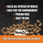 MouseX MoleX 8oz Non-Toxic All-Natural Repellent