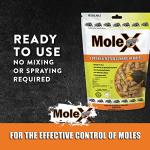 MouseX MoleX 8oz Non-Toxic All-Natural Repellent