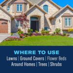 BioAdvanced Complete Insect Killer Granules for Lawn