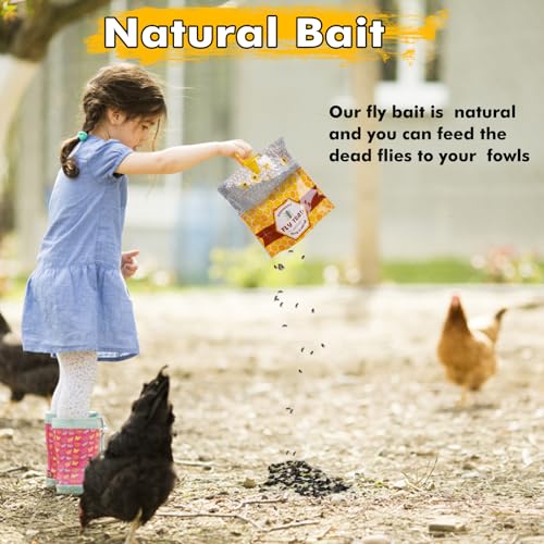 Outdoor Hanging Fly Trap with Disposable Bait