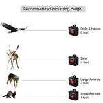 Univerayo Solar Coyote Deterrent Light - 4 Pack