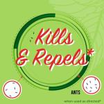 Mighty Mint Peppermint Oil Ant Killer Spray