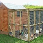 Univerayo Solar Coyote Deterrent Light - 4 Pack