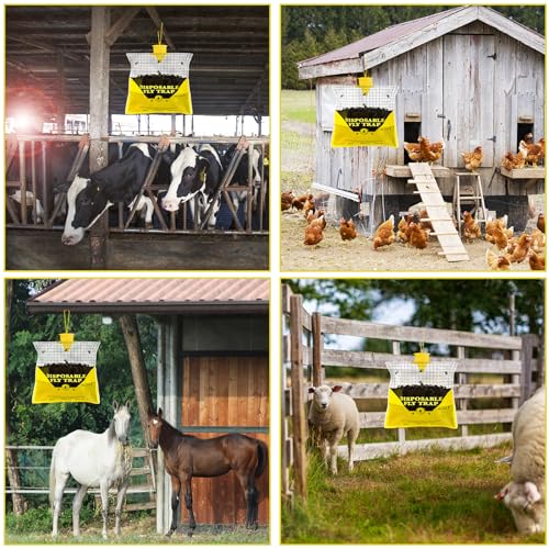 Outdoor Hanging Fly Traps with Natural Pre-Baited Design