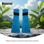Animal Handling Gloves for Protection and Training