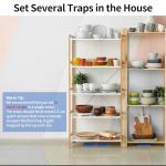 LULUCATCH 12 Pack Sticky Mouse & Insect Traps